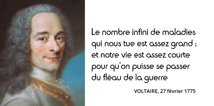 Voltaire guerre citation Voltaire guerre citation