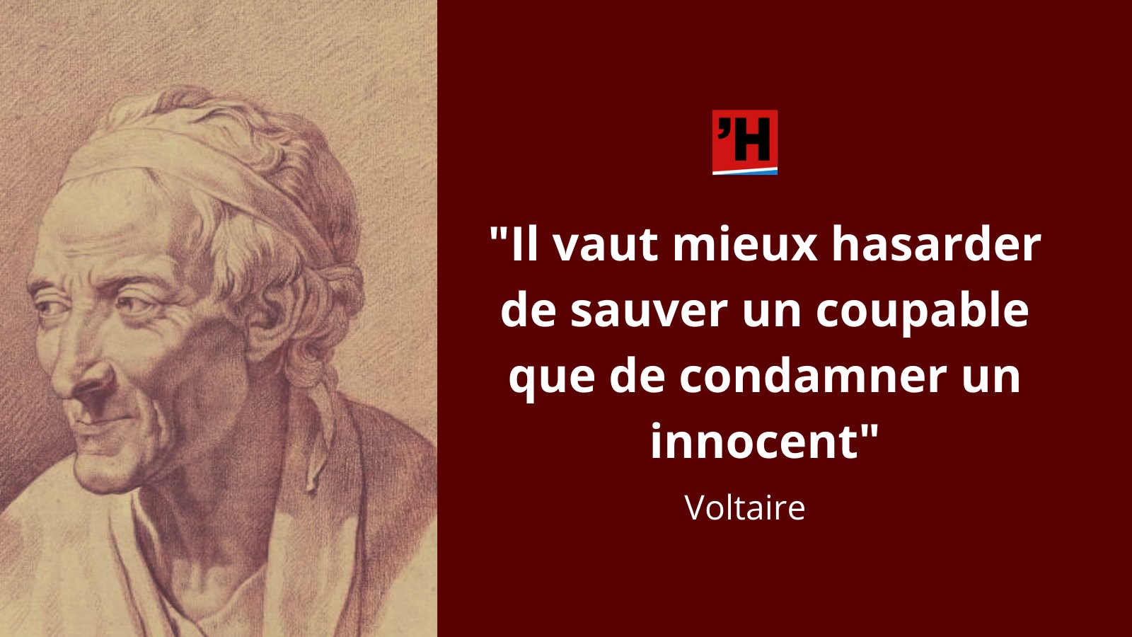 Voltaire Je Suis Flexible Comme Une Anguille Et Vif Comme Un Lezard Et Travaillant Toujours Comme Un Ecureuil L Histoire En Citations